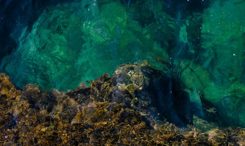 Organizirala sam svekrvin stan, ali zahvalnost nisam dobila