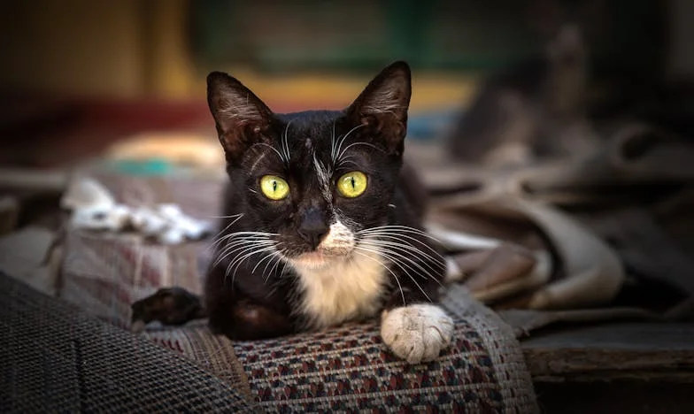 Poklon koji je razorio moju obitelj: Kako sam izgubila sve zbog dobre namjere