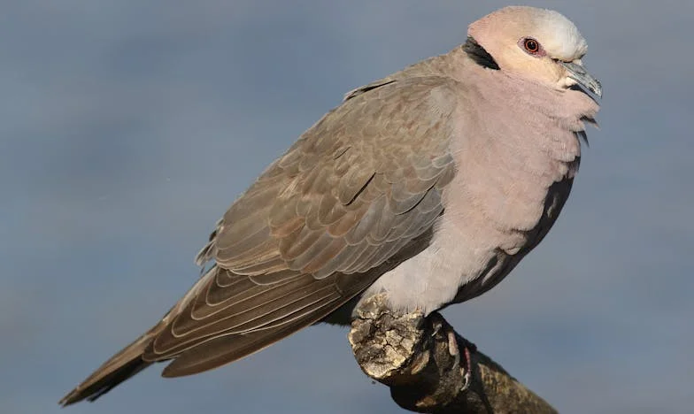 Šutnja između nas: Priča jedne majke iz Dalmacije