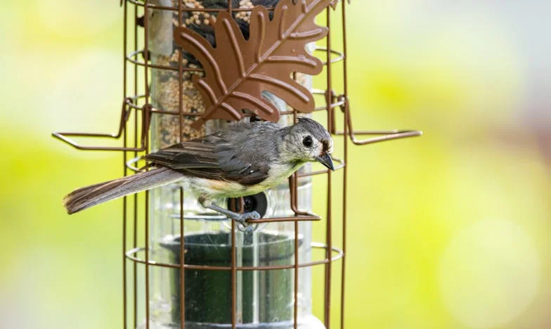 Telefon koji je promijenio sve: Priča o tajnama, oprostu i obiteljskim ranama