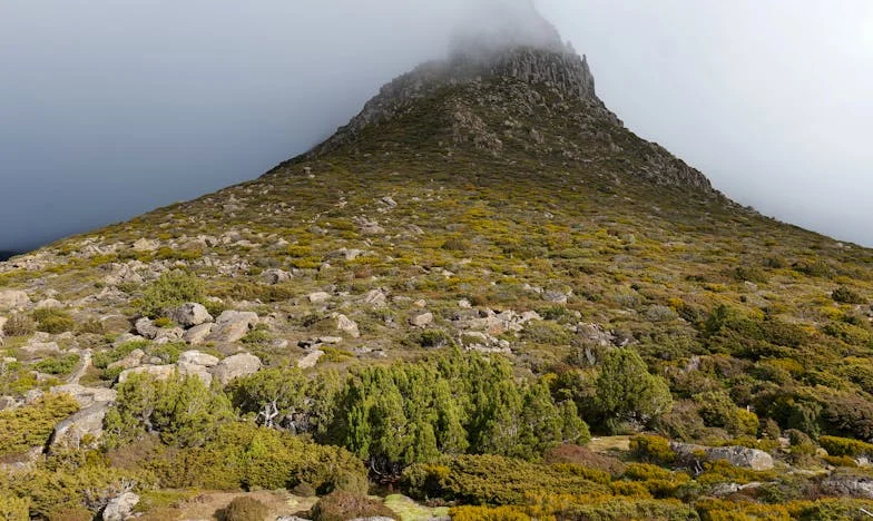 Zašto Moj Suprug Misli Da Nisam Dovoljno Dobra Kuharica: Priča o Obiteljskim Očekivanjima i Tihoj Buntovnosti