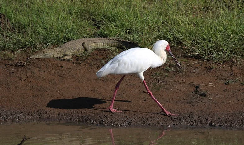 Dvaput slomljeno srce: Kako sam mogla vjerovati vlastitoj majci?