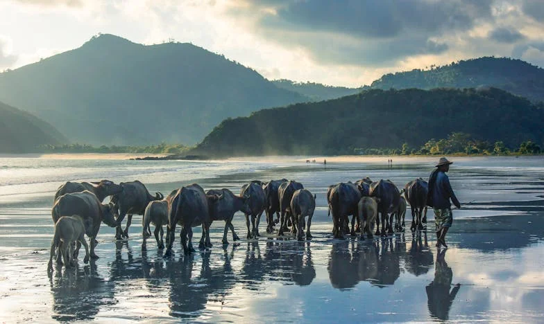 Između ljubavi i ponosa: Majčina borba za sina