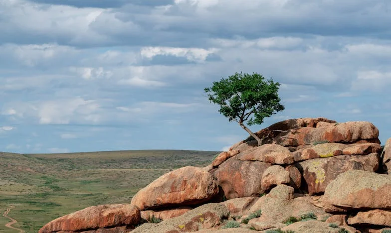 „Jesi li opet zaspala? Vrijeme je da napraviš doručak za Leona!” – Kraj jedne veze u hrvatskoj svakodnevici