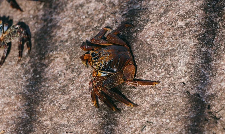 Kad je pomoć svekrve postala teret: Moj život između zahvalnosti i ogorčenosti