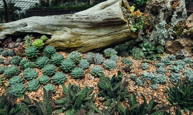 Kad je stigao račun za svadbu: tajne, obitelj i slomljena srca
