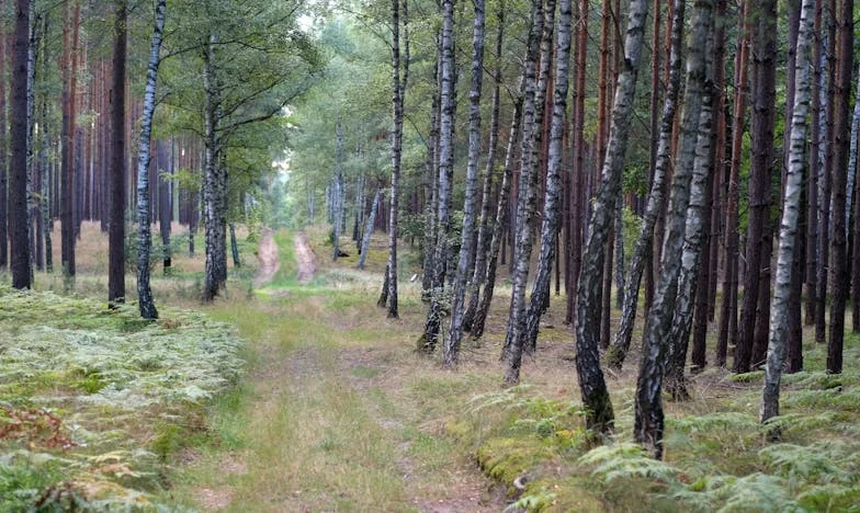 Kad ljubav nestane: Priča o izdaji nakon 27 godina braka