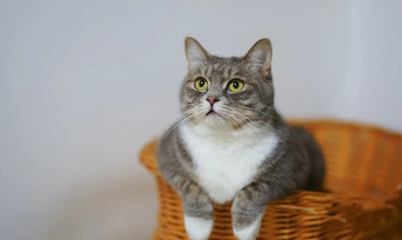 Kad ljubav postane teret: Jesam li sebična što želim svog muža natrag?