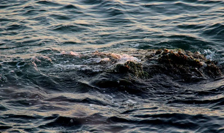 Ljeto koje mi je promijenilo srce: Priča o žrtvi, obitelji i tišini