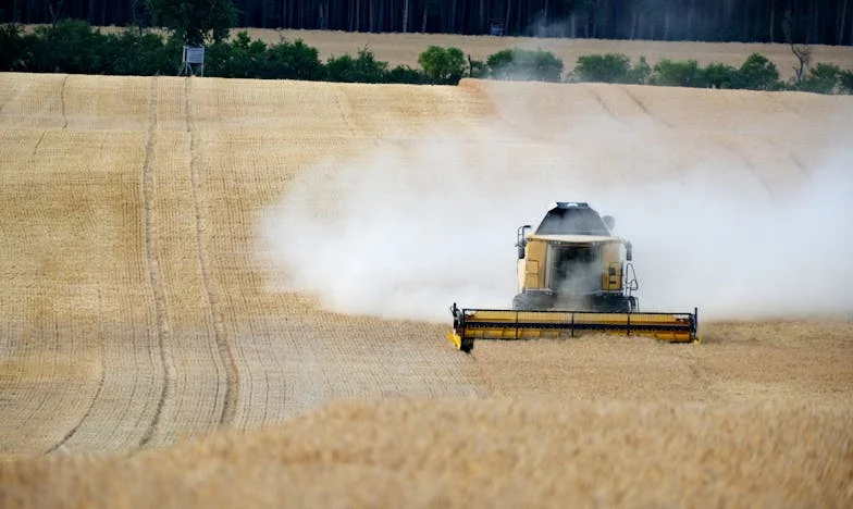 Ljeto koje sam pokvarila: Priča jedne bake