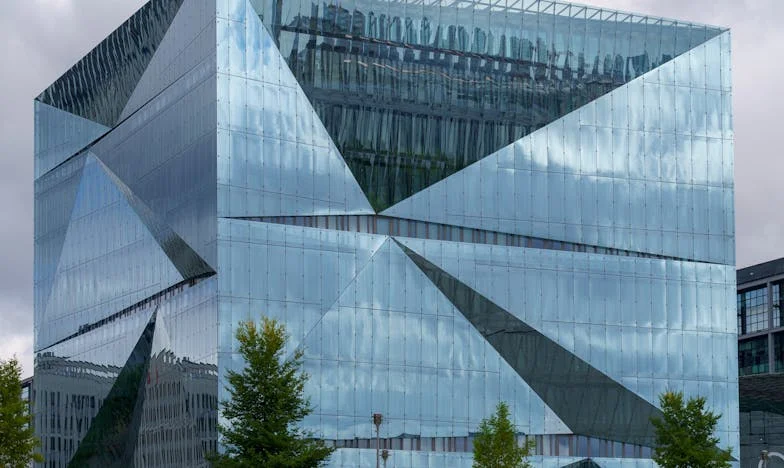 Majka u svili, mi u borbi: Priča o raskolu i nadi