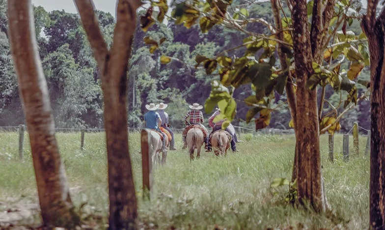 Moj muž škrtac: Ljubav ili novac?