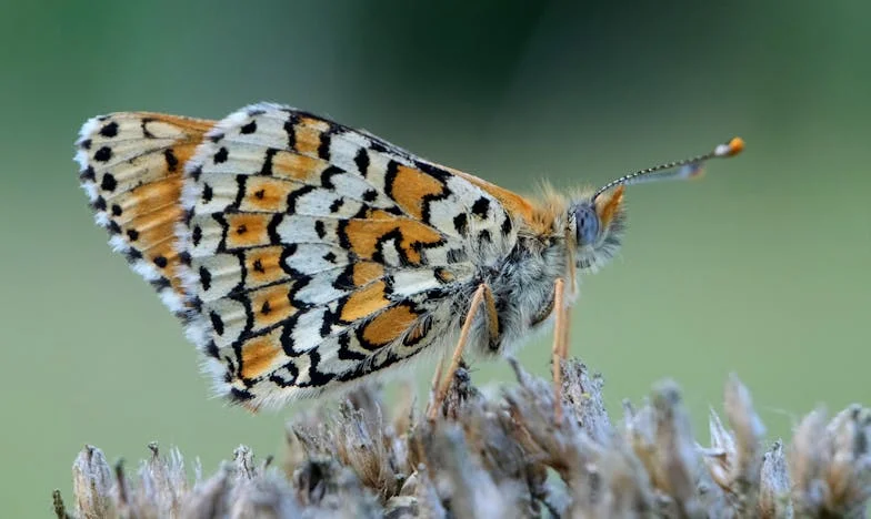 Naša kćerka više nije ona ista: Bolna istina o izgubljenoj bliskosti
