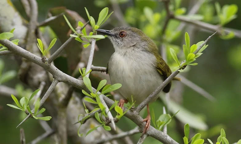 Naša kuća bez tatinih para: Kako smo Mirela i Adnan gradili dom bez ičije pomoći
