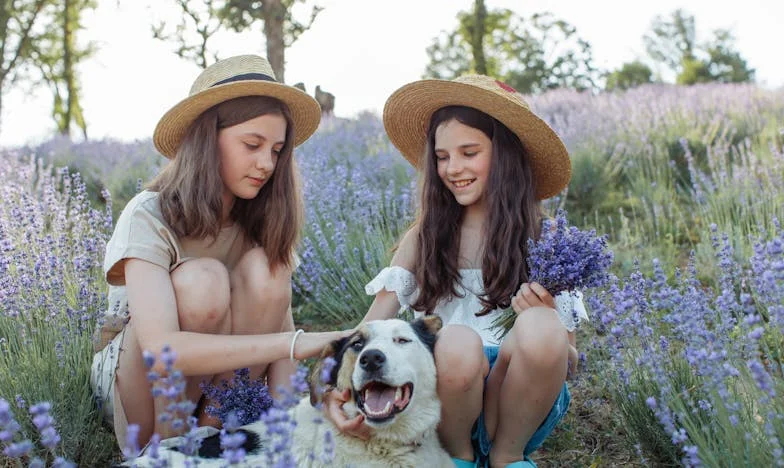 Posjeta svekrvi otkrila je istinu koju nisam željela znati
