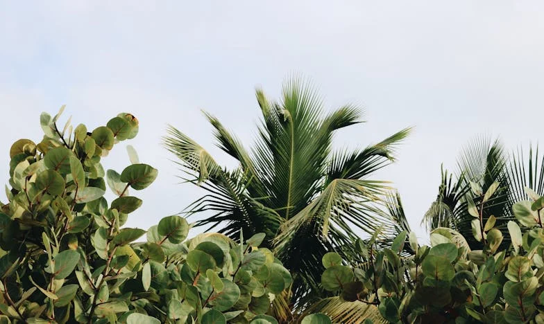 Ranjena Vjera: Ispod Istog Krova