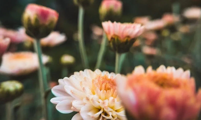 Sramota u tridesetoj: Zašto mi mama ne da da volim?