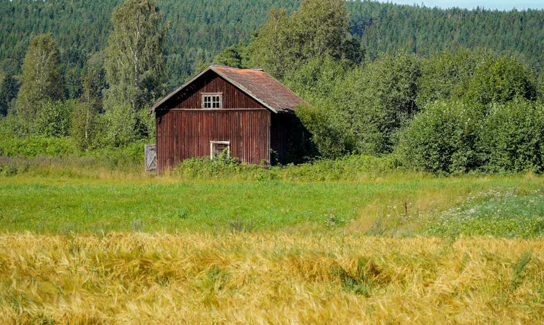 Sve sam dao za kćerku, a sada nemam gdje prespavati