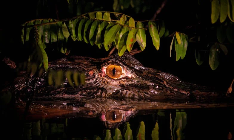 Tajna moje snahe: Skriveno dijete u sjeni obitelji