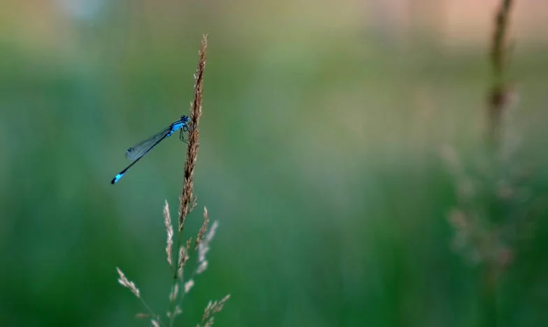 Tišina mog sina: Majka pred vratima koja se više ne otvaraju
