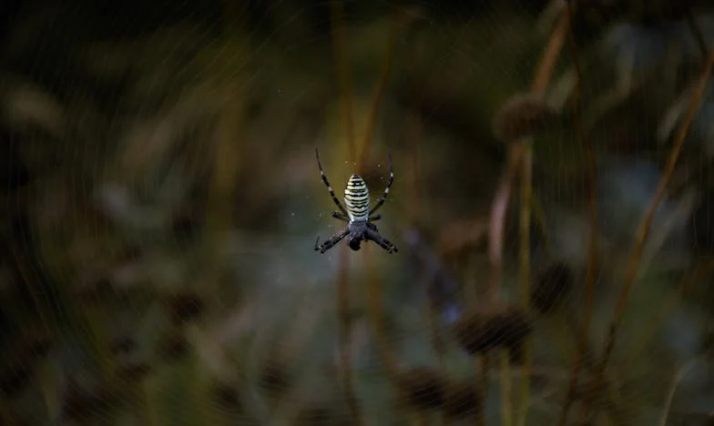 Vratio se iz Sarajeva i tražio razvod: Kako su riječi moje bake promijenile sve