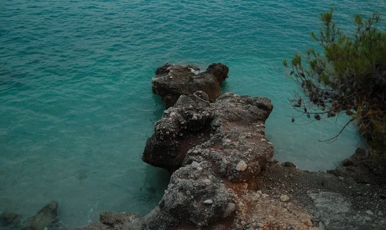 Između krvi i ponosa: Moje mjesto u obitelji