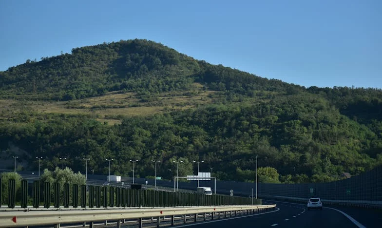 Između ljubavi i izdaje: Priča o majci, bratu i izgubljenoj obitelji