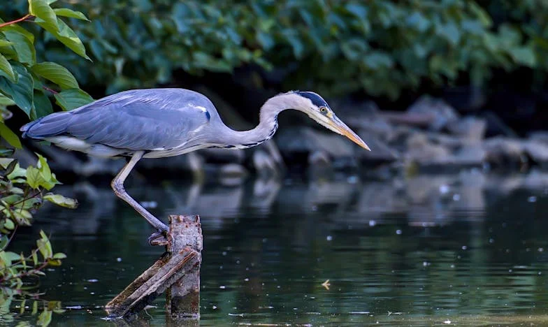 Kad Ljubav Pokuca u Pedesetima: Između Starog Života i Novog Početka