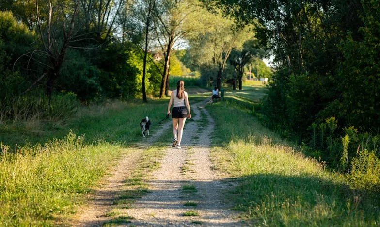 Kad se svekrva uselila: Priča o tišini, suzama i borbi za vlastiti dom