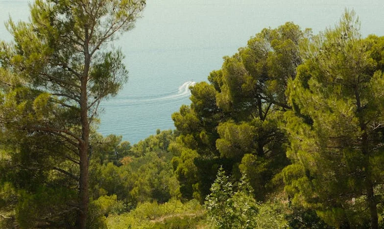 Majčina intuicija: Kad srce ne prihvaća tuđu istinu