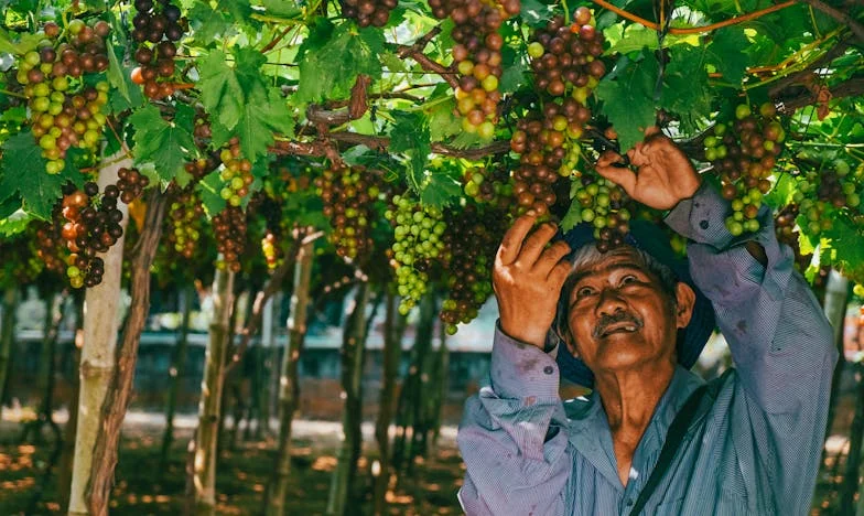 Moja kćerka udaje se za mog vršnjaka – Ispovijest jedne majke