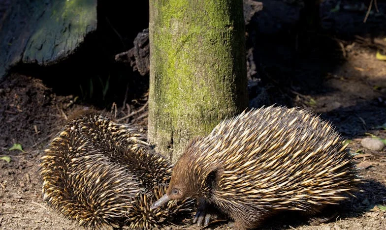 Nakon očeve smrti, istjerala sam njegovu partnericu: Jesam li zaista bezdušna?