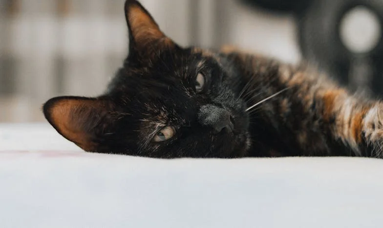 Naša Kći Misli da Nismo Dali Dovoljno za Njezino Vjenčanje – Zaboravlja da Smo Platili Sve