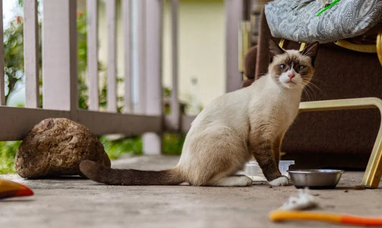 Nikad Nije Na Mojoj Strani: Priča Jedne Majke Između Sina i Snaje