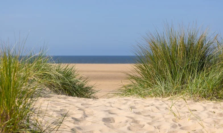 Nikada nisam razumjela zašto moja majka kuha za mog muža: Jedne noći sam saznala istinu