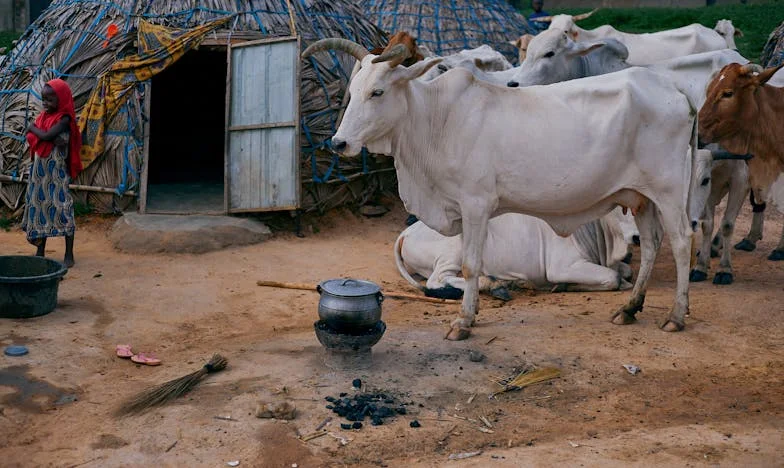 “Nisi ti za mog sina, Jasmina!” — Priča o ljubavi, ponosu i borbi za svoje mjesto u tuđoj obitelji
