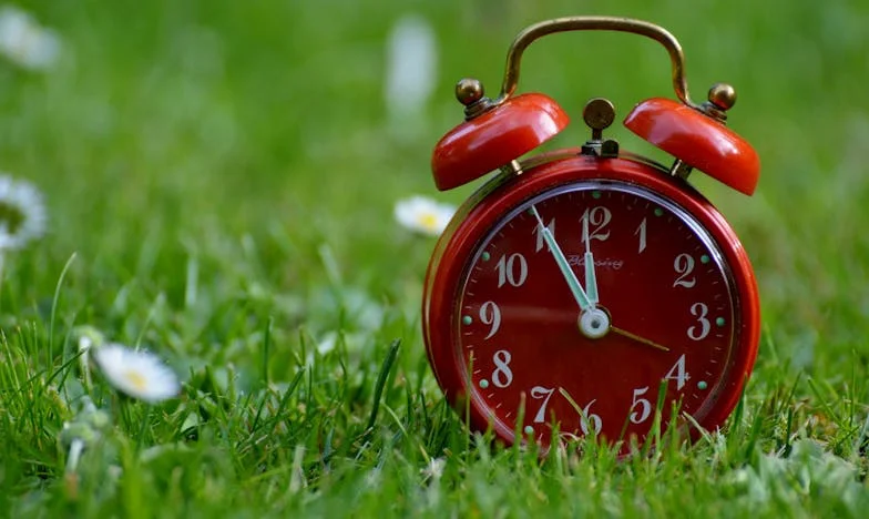 Pet godina kasnije: Kako je moja svekrva pokušala vratiti muža njegovoj bivšoj