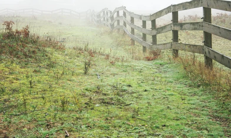 Prebrzo za unuke? Što ti je na pameti!