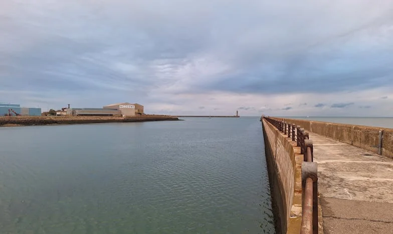 Strah za budućnost mog sina: Muževljevo nasleđe i porodične spletke