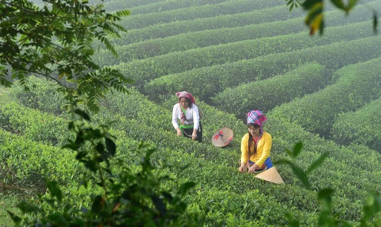 Svekrva koja mi je postala najbolja prijateljica – Kronika jedne hrvatske obiteljske borbe