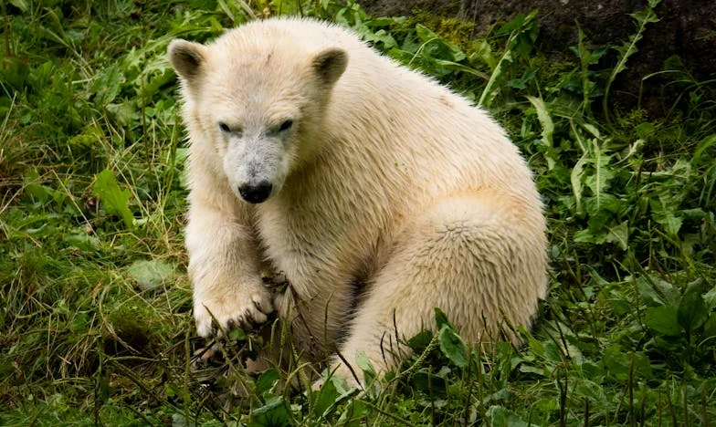 „Ustani i skuhaj mi kafu!” – Kako je moj šogor preokrenuo naš dom i naučio me gdje su granice obitelji