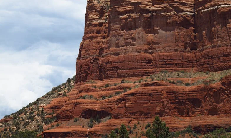 Zvijezda u betonskoj džungli: Priča jedne majke iz Sarajeva