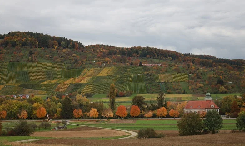 „Ili ona, ili ja” – Kako sam izgubio dom između majke i supruge