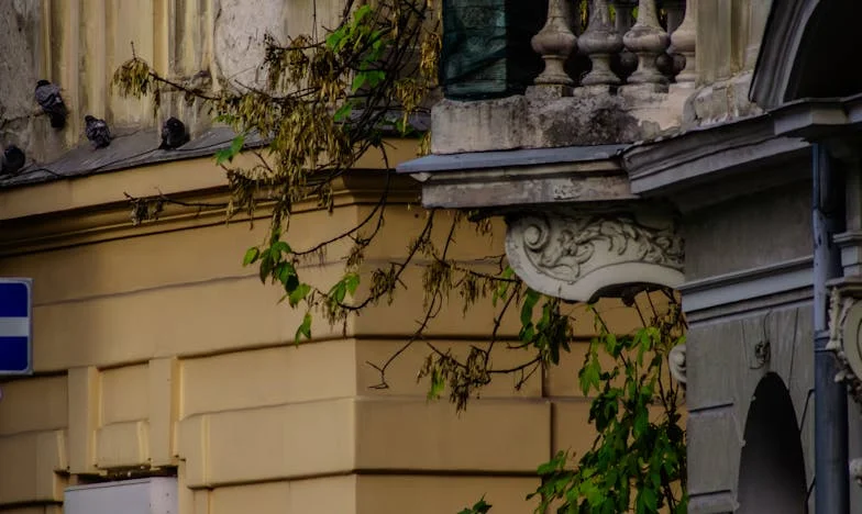 Ispod Jednog Krova: Borba za Baku i Istinu