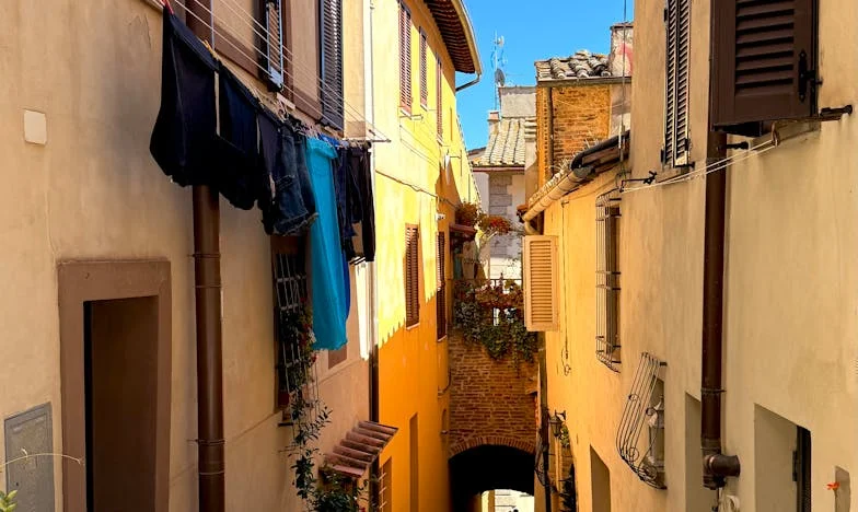 Izgubljena istina: Priča majke koja nije poznavala svog sina