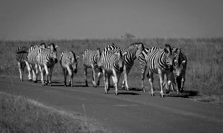 Između sina i snahe: Obiteljski ručak koji je promijenio sve