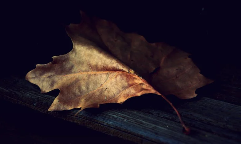 Kad dom nije utočište: Priča jedne bosanske majke