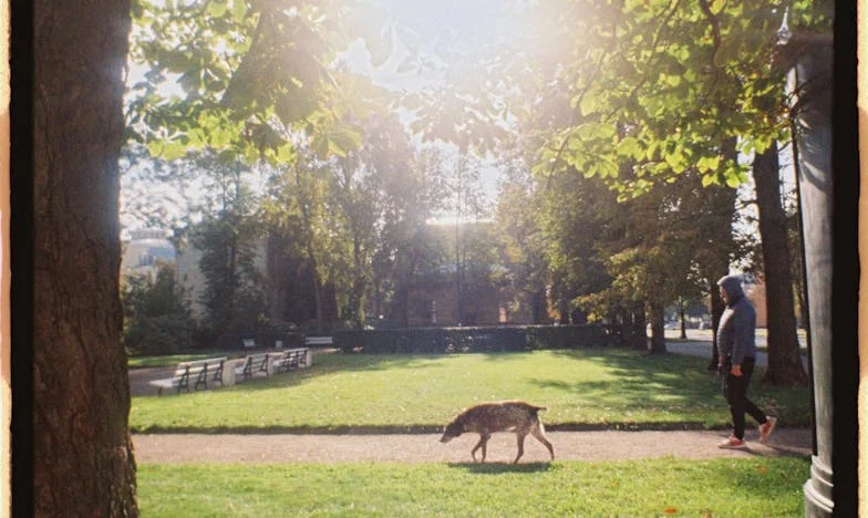 Kad je svekrva postala moj saveznik: Priča o pomirenju u obitelji