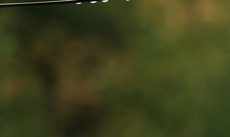 Kad obitelj pukne: Priča o izdaji, krađi i potrazi za oprostom