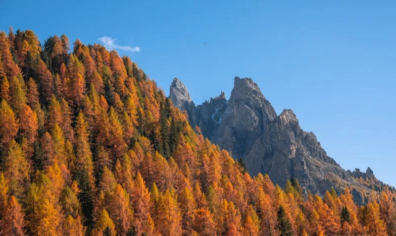 Kako je moja svekrva uništila naše ljetovanje iz snova